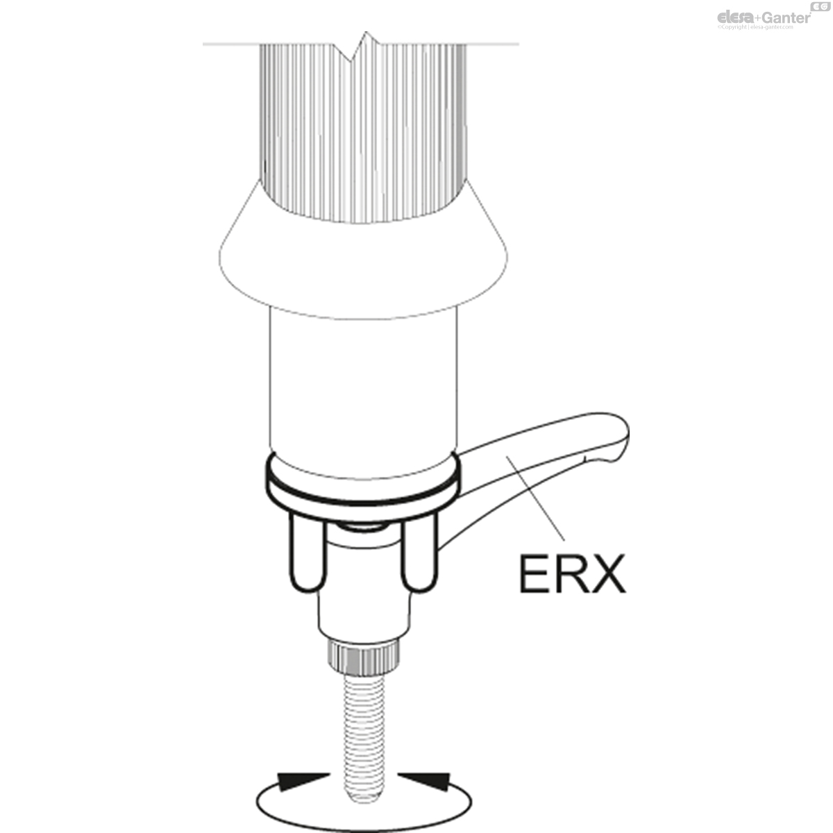 MT_ERX_MONT_EXAMPLE.jpg