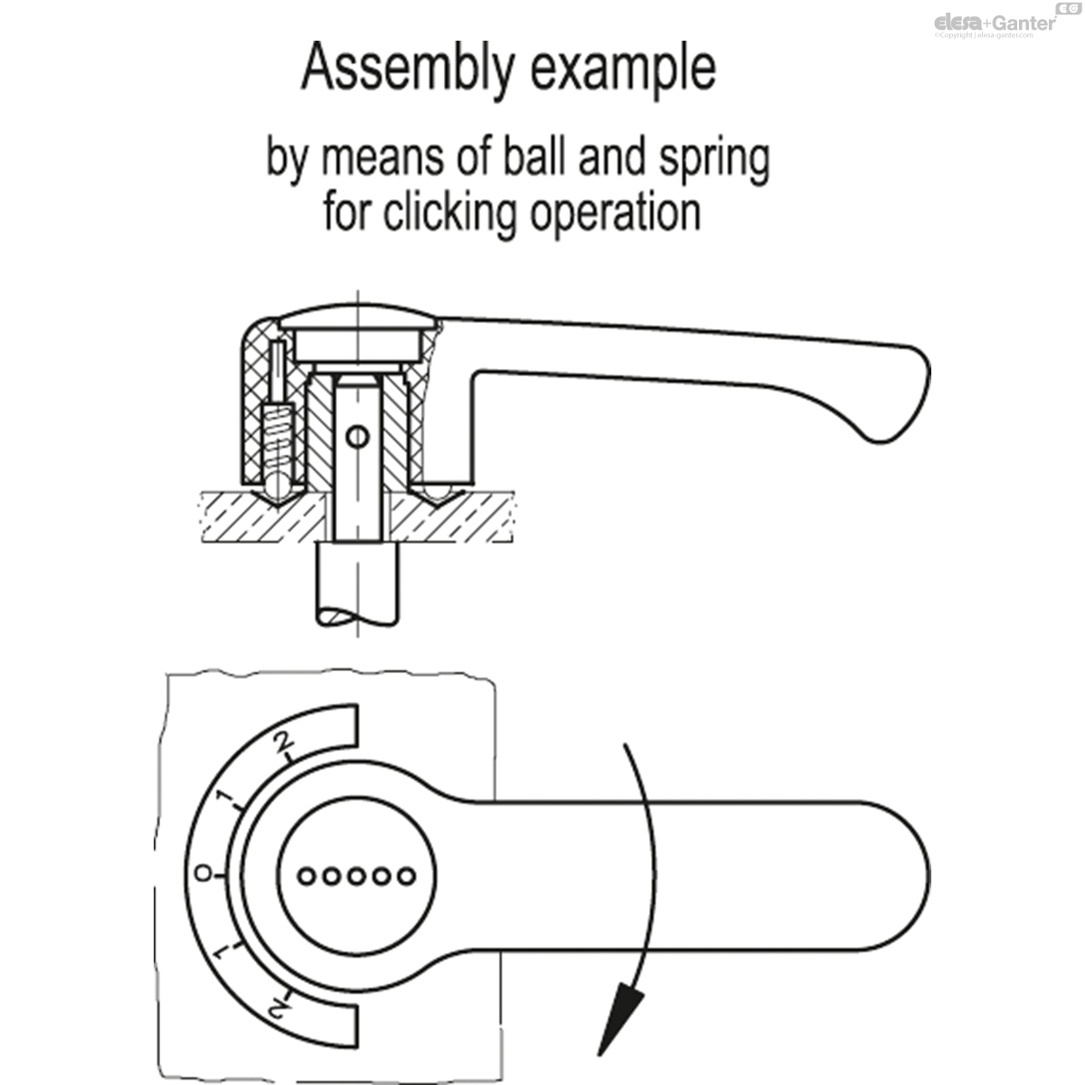 ELCR_ACC_EXAMPLE_EN.jpg