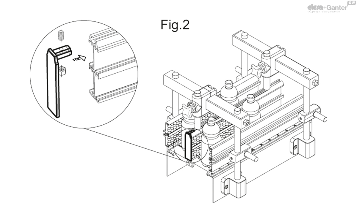 TGL_FIG2_EN.jpg
