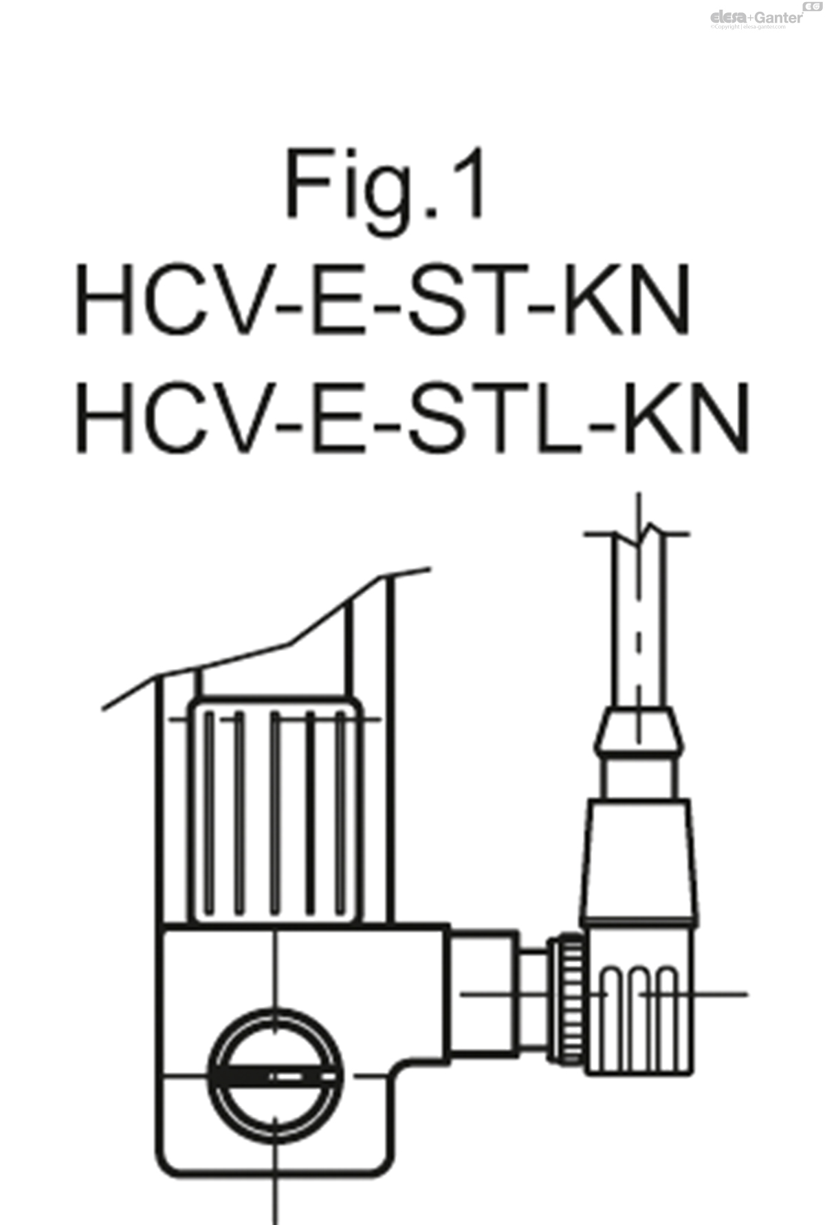 HCV_E_S_FIG1_EN.jpg