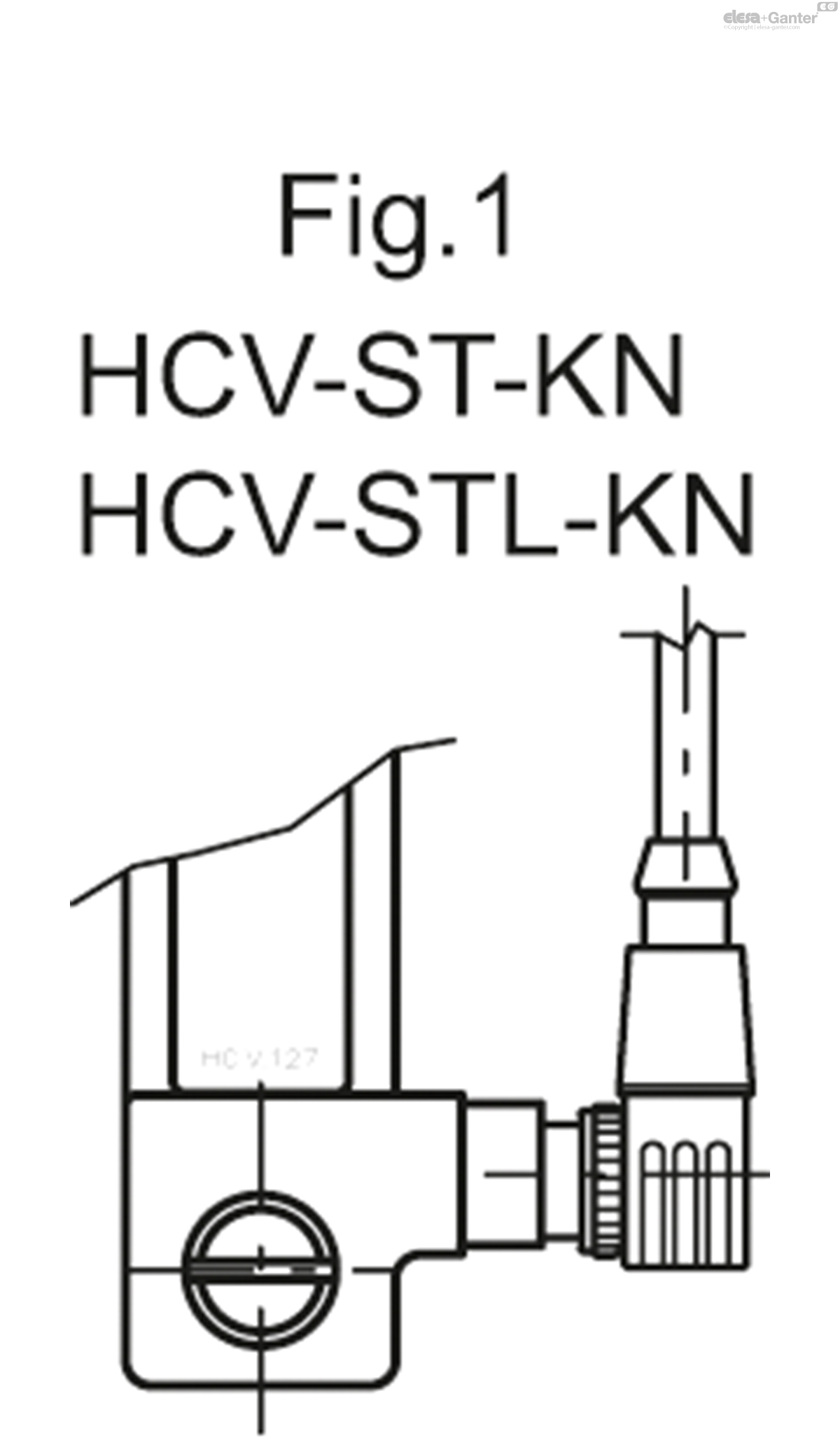 HCV_S_FIG1_EN.jpg