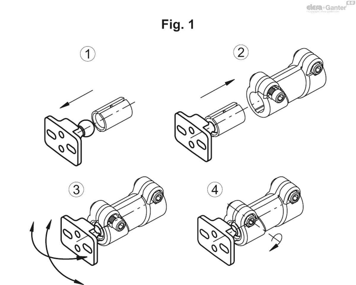 TCC_SJB_FIG1_EN.jpg